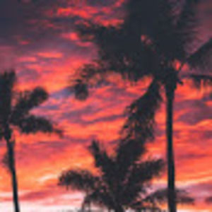 Meet your Posher, Molly